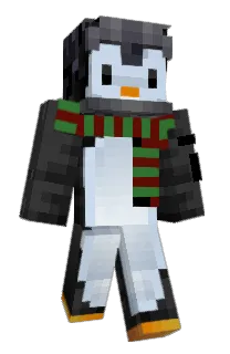 torchicis's Minecraft skin