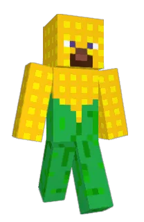Front of Minecraft skin