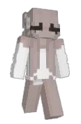 Nemjity