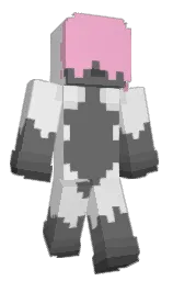Minecraft skin — Classic model