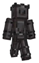 army_guy_234's Minecraft skin wearing the Migrator cape