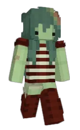Minecraft skin — Classic model