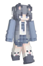 Skin preview