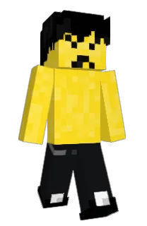 Front of solssand's skin