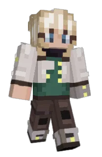 Front of Srooka's skin