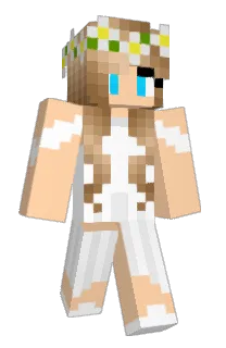 Front of CamelCarrier's skin