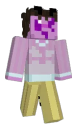 Back of Minecraft skin