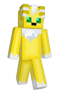 Front of Mr_Babbage's skin
