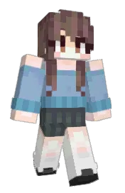Skin preview