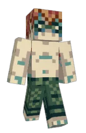 Skin preview