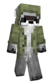 Skin preview