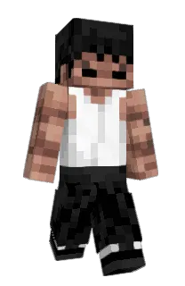 nunchukz's Minecraft skin