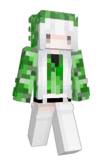 Front of petplay's skin