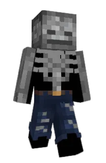 Front of K2ZD's skin