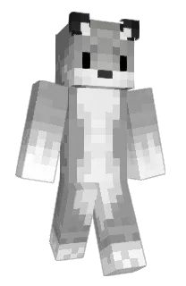 Front of DiiibbiiiT's skin