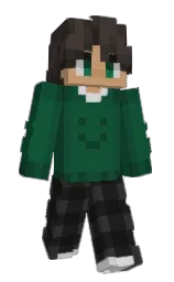 Slim Minecraft skin