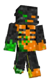 Skin preview