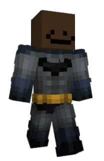 Front of wBard's skin