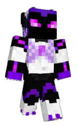 cod gray and white Minecraft skin — Classic model