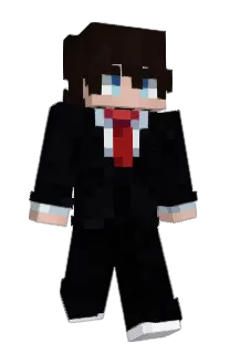 Front of Bs1i's skin