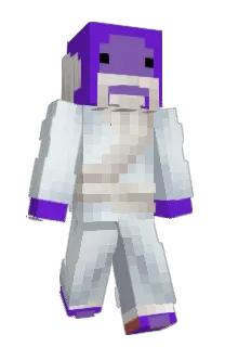 Front of 101ZEN's skin