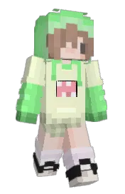 Skin preview