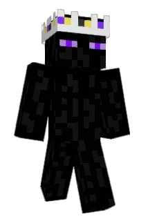 eels6 Minecraft avatar full body