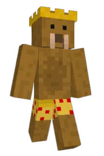 eethanbarrett Minecraft avatar full body