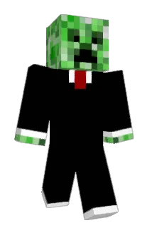 eetu765 Minecraft avatar full body