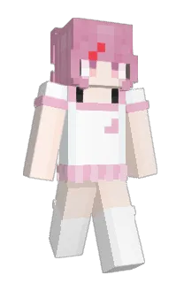 Front of 1cdx_'s skin