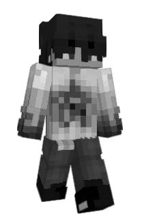 Front of Funnyblocks's skin
