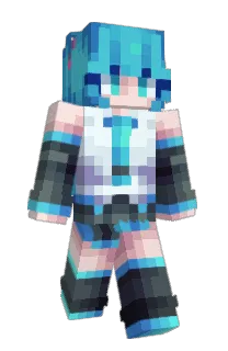NilMadagascar24's Minecraft skin