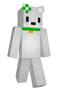 Front of JA5U's skin