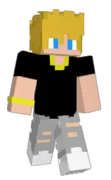 black and bombay Minecraft skin — Classic model — first worn by Matteo9460
