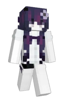 Front of semipractical's skin