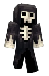 Front of pocketblade's skin