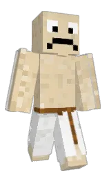 hampton and white Minecraft skin — Classic model — first worn by SallySalto