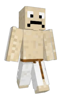 Front of SallySalto's skin