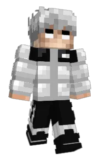 Front of ZEMOUS's skin