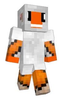 Front of Minecraft skin