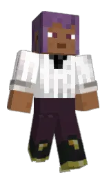 cocoa brown and white Minecraft skin — Slim model