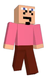 Minecraft skin — Classic model