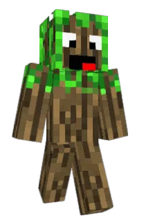 Front of Minecraft skin