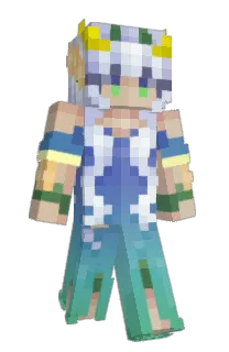 Front of NotBroom1's skin