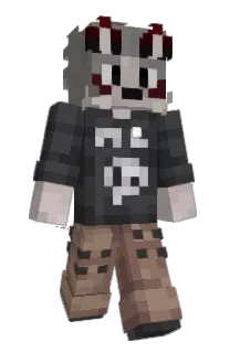Front of HETOPY's skin
