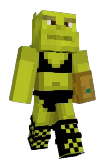 Front of Minecraft skin