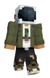 Skin preview