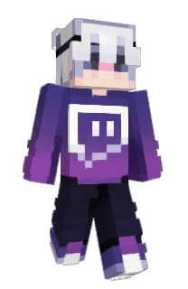 Front of MiniAnarchy's skin