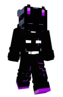 Front of _Sky_Net_'s skin