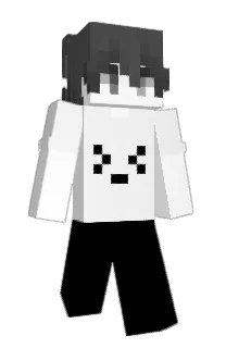 Front of ilTom's skin